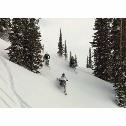 Geacă Snowmobil Damă FXR RACING EDGE · Negru / Gri / Roz  - 8