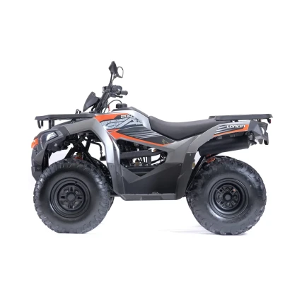 ATV LONCIN XWOLF 200, 196.2cc, 14.3 CP, 10.5 kW, 2WD, T3b · Portocaliu  - 3